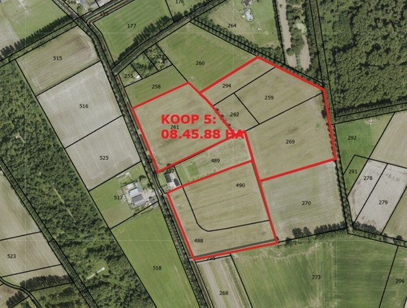 Medium property photo - Beek, 5481 XC Schijndel